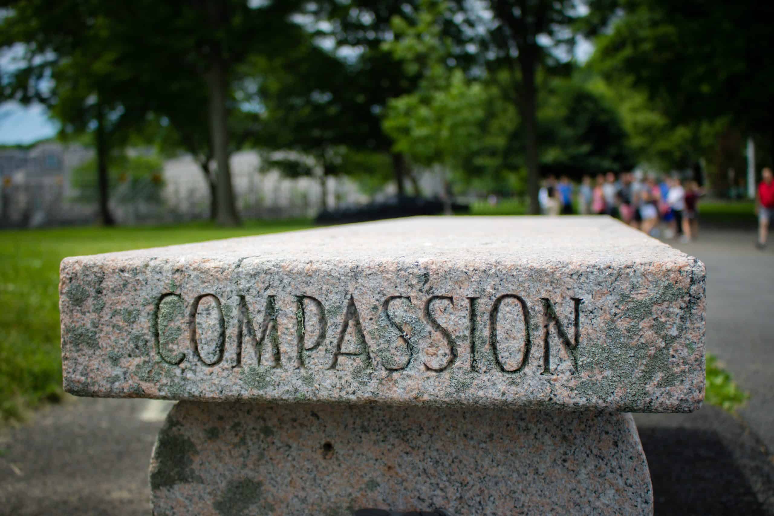 dave-lowe-vI9wPJ8L5MA-unsplash